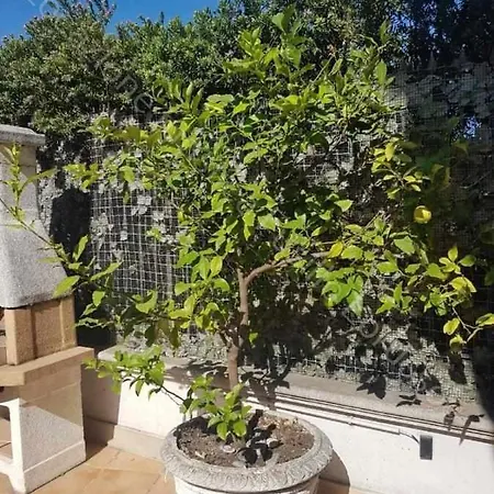 Apartment Locazione Turistica Fusillo Lorusso Con Parcheggio Privato In Loco *